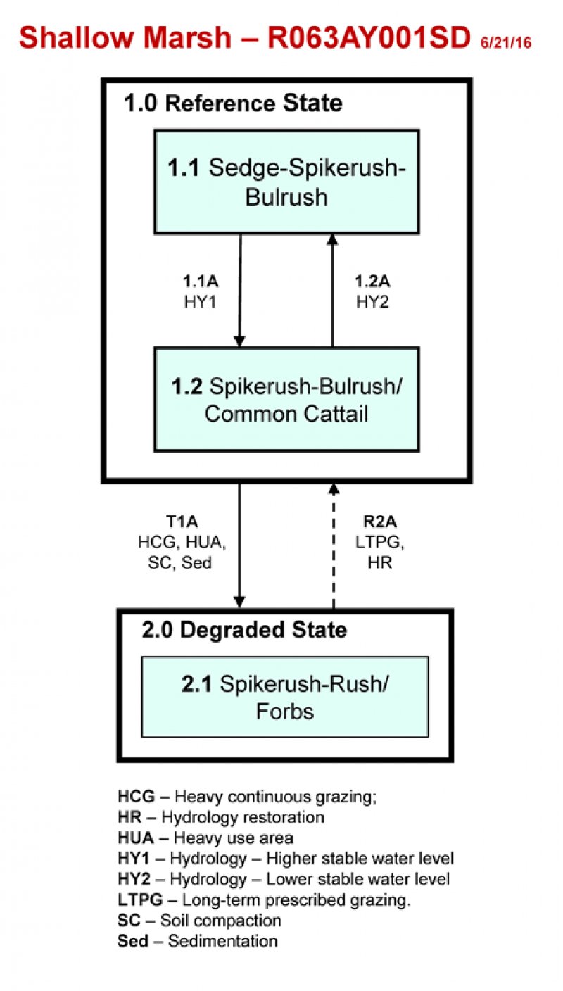 Model diagram
