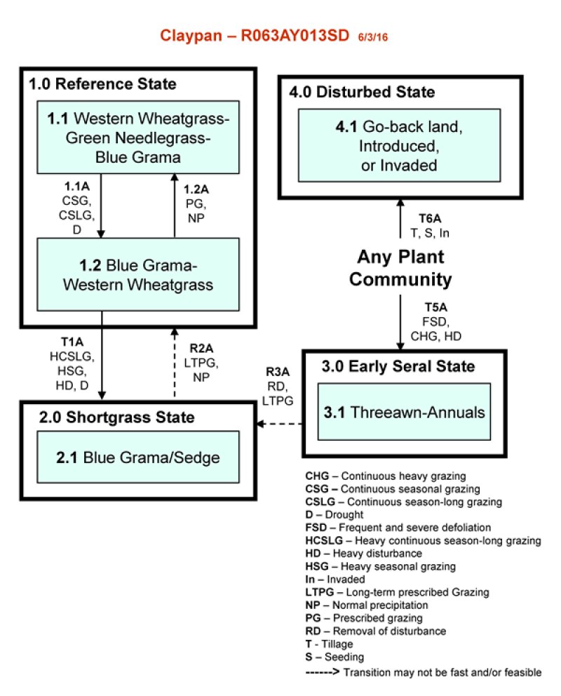 Model diagram