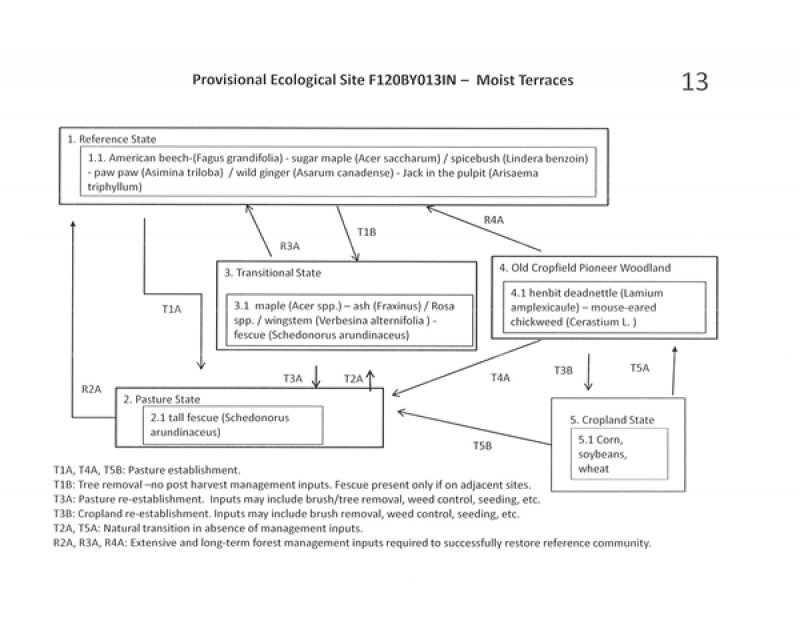 Model diagram