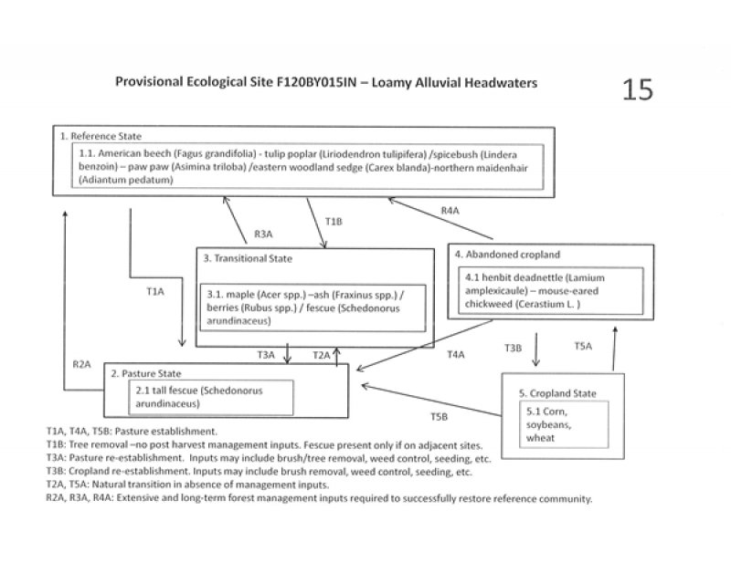 Model diagram