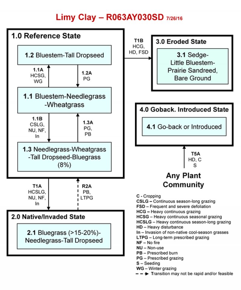 Model diagram