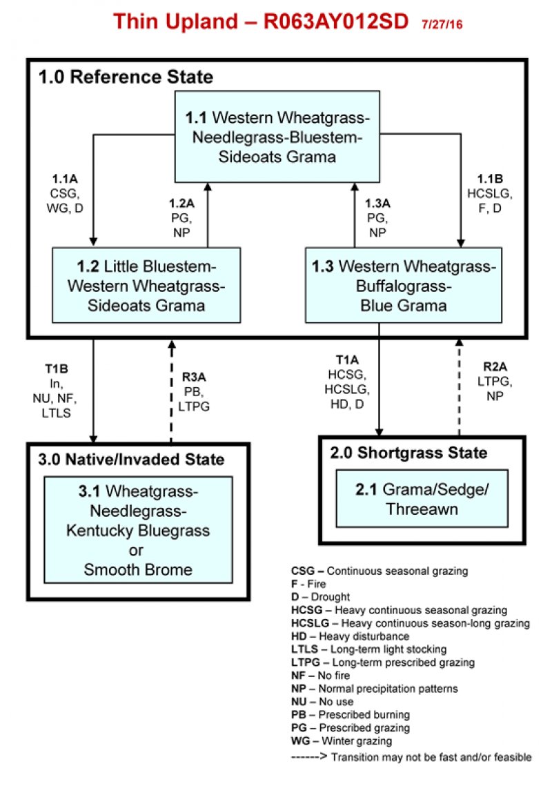 Model diagram