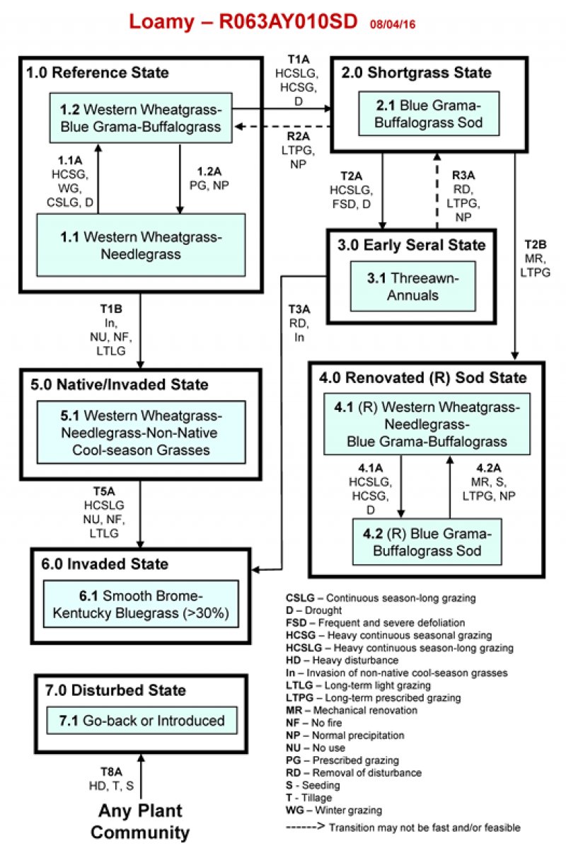 Model diagram