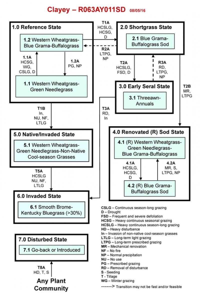 Model diagram