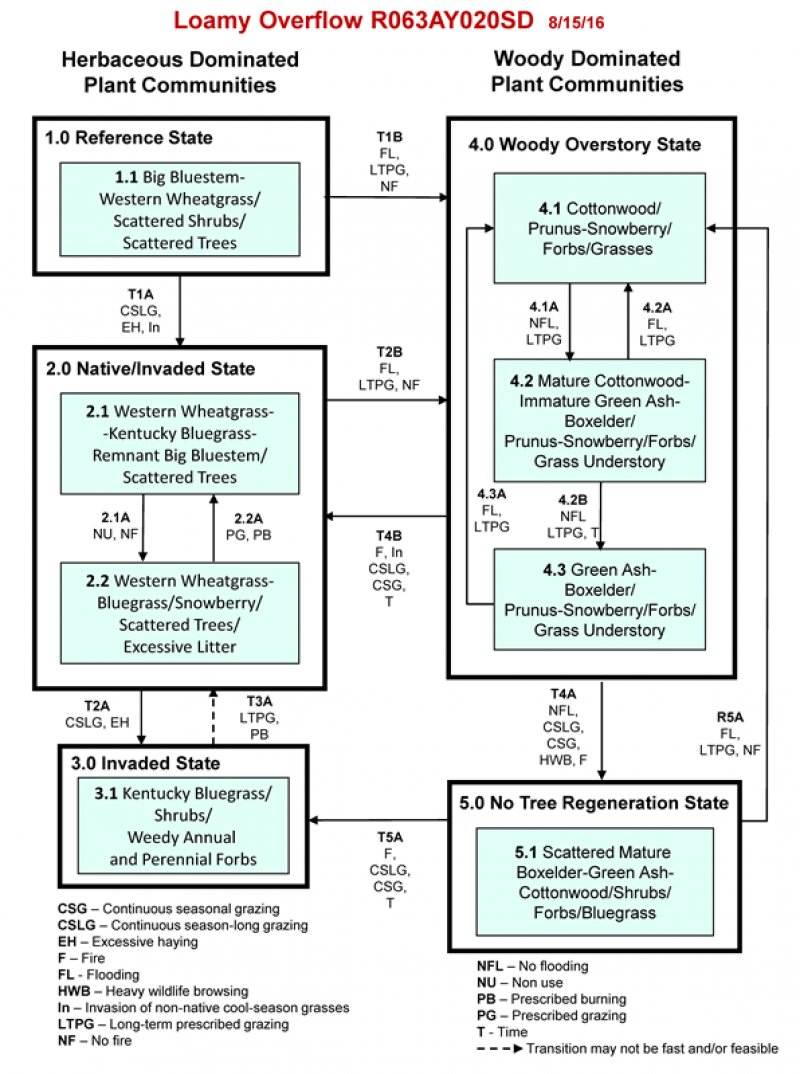 Model diagram