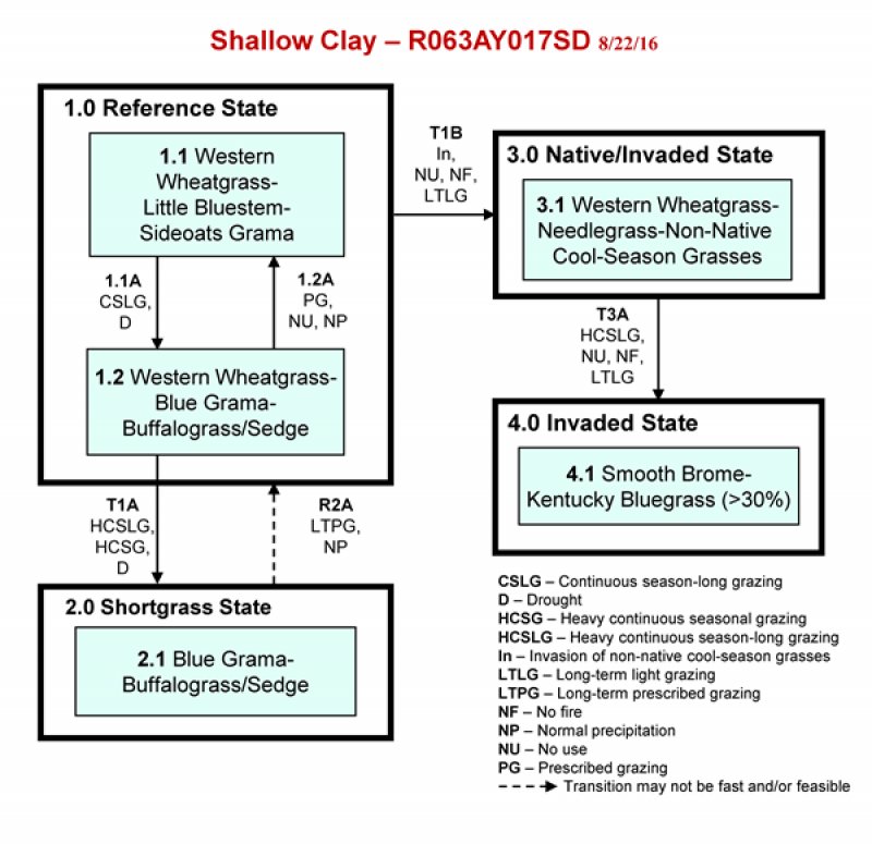 Model diagram