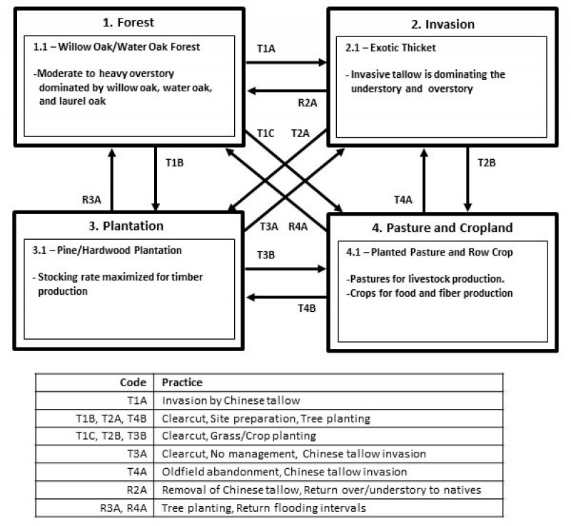 Model diagram