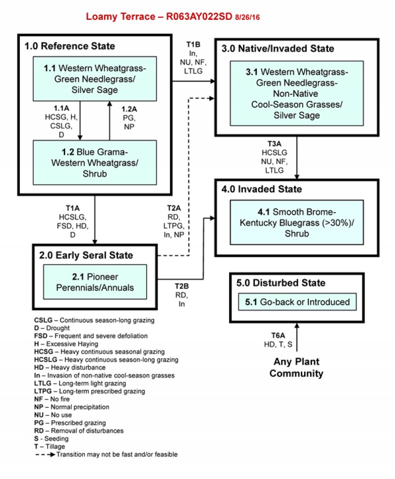 Model diagram
