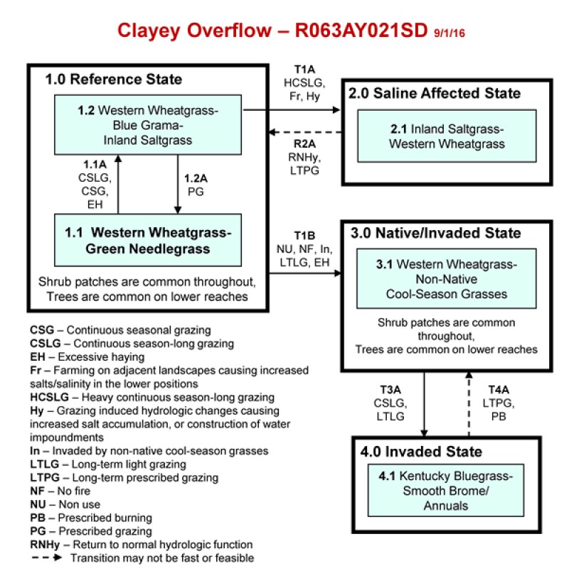 Model diagram