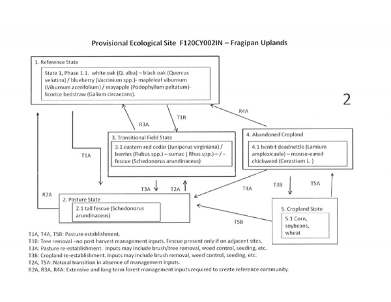 Model diagram