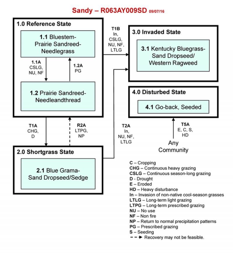Model diagram