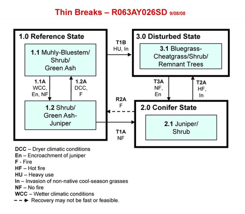 Model diagram