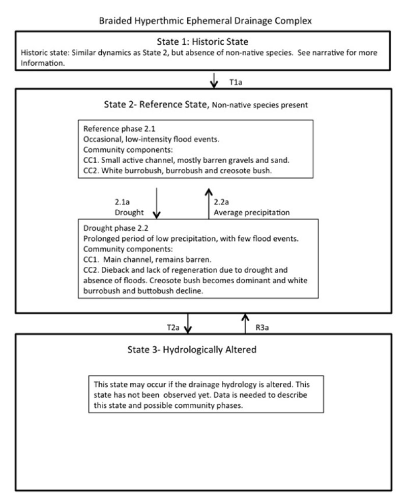 Model diagram
