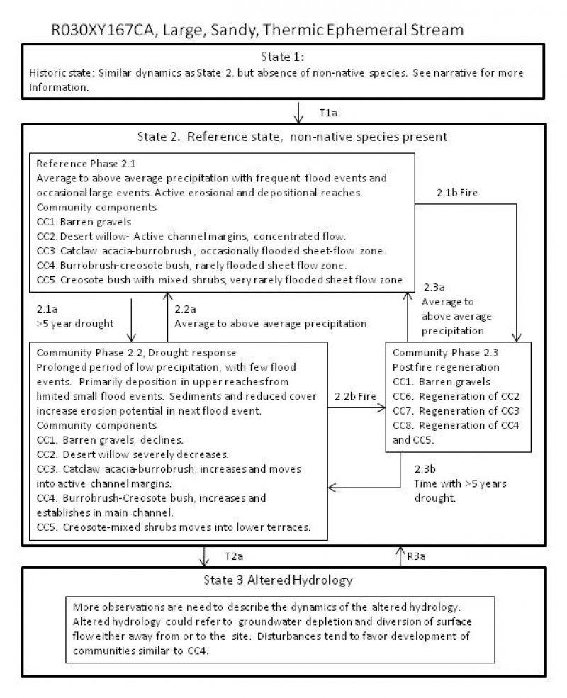 Model diagram
