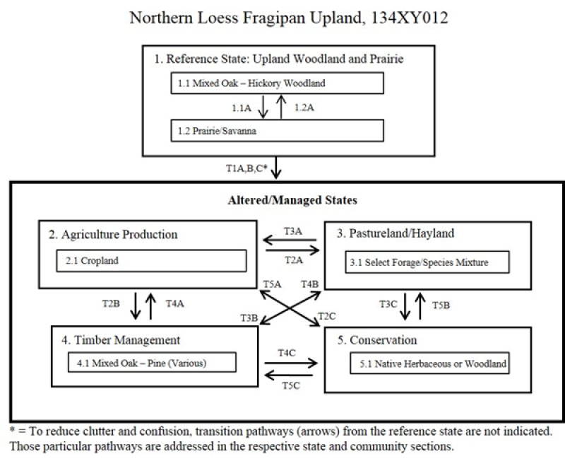 Model diagram