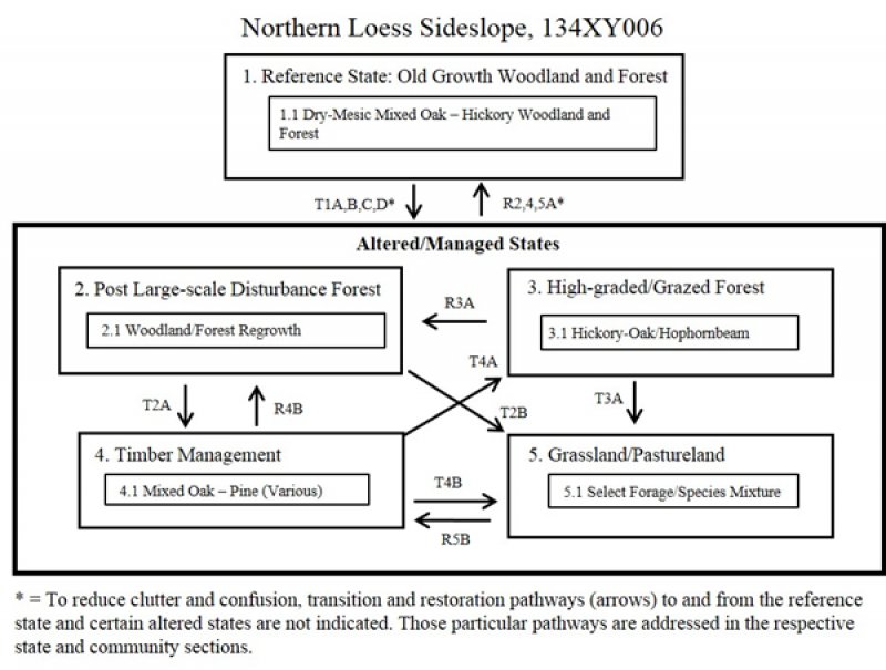 Model diagram