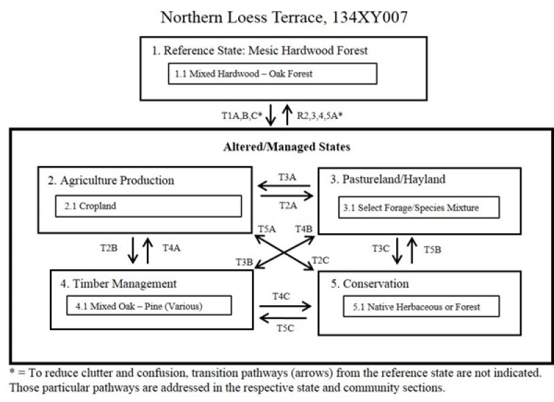 Model diagram