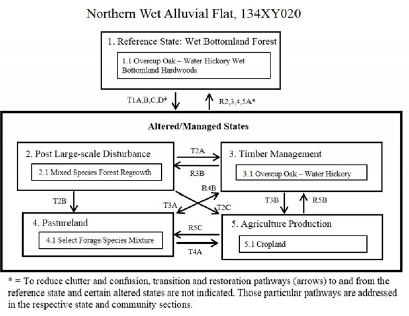 Model diagram