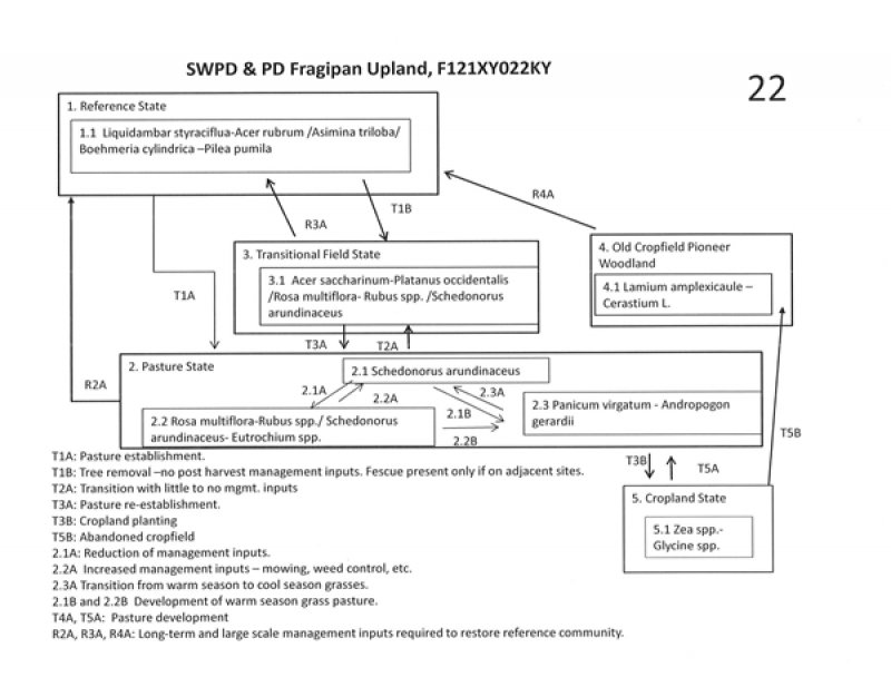 Model diagram
