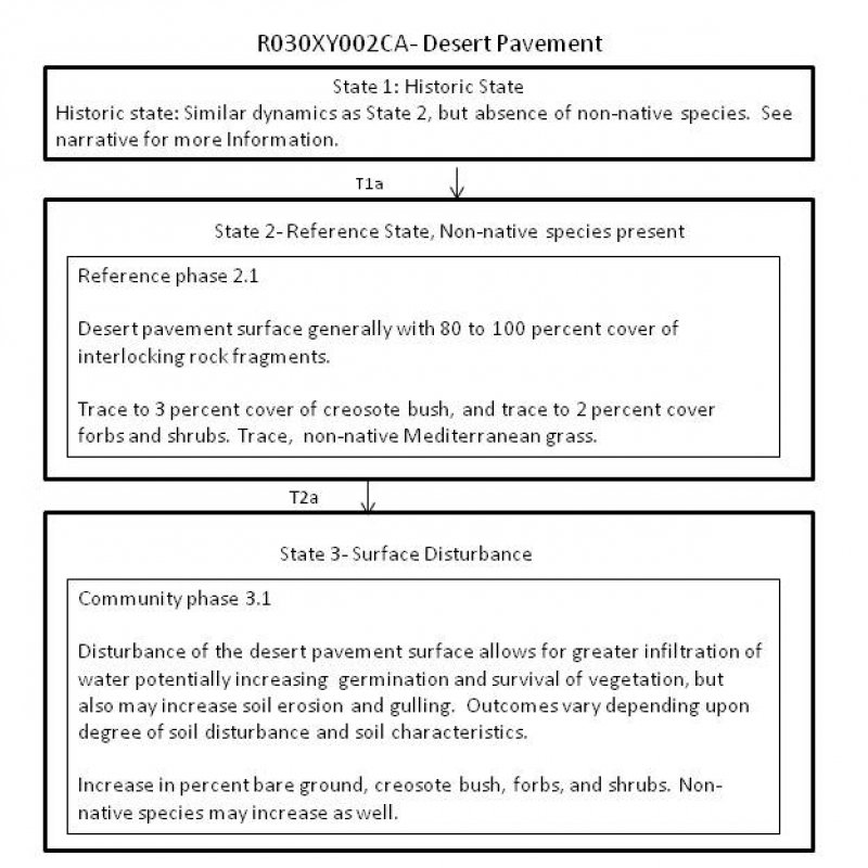 Model diagram