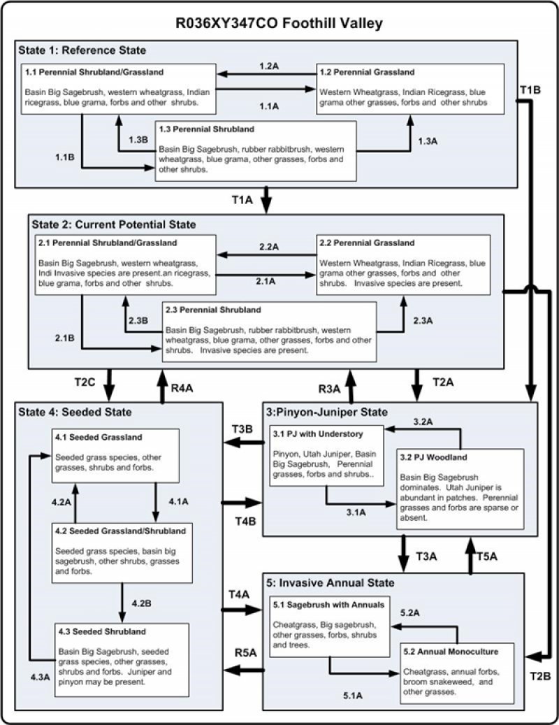 Model diagram