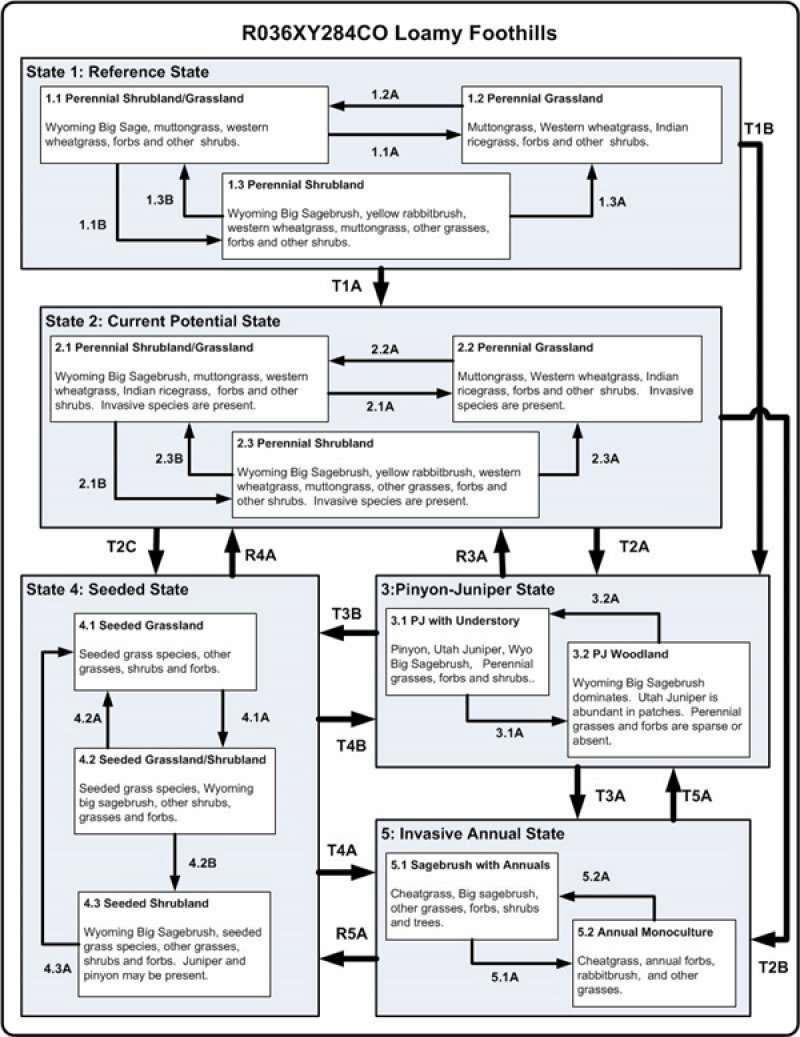 Model diagram