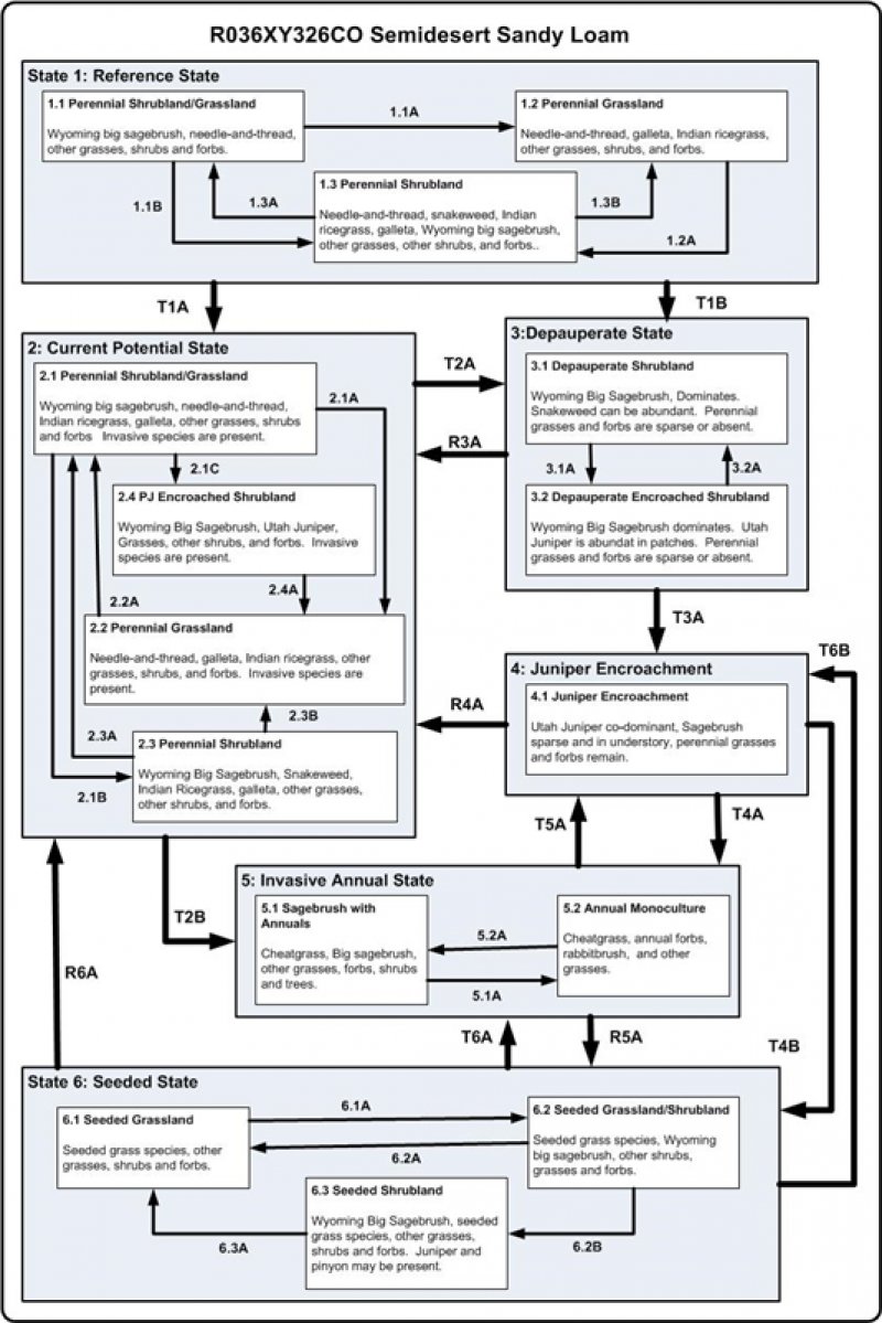 Model diagram