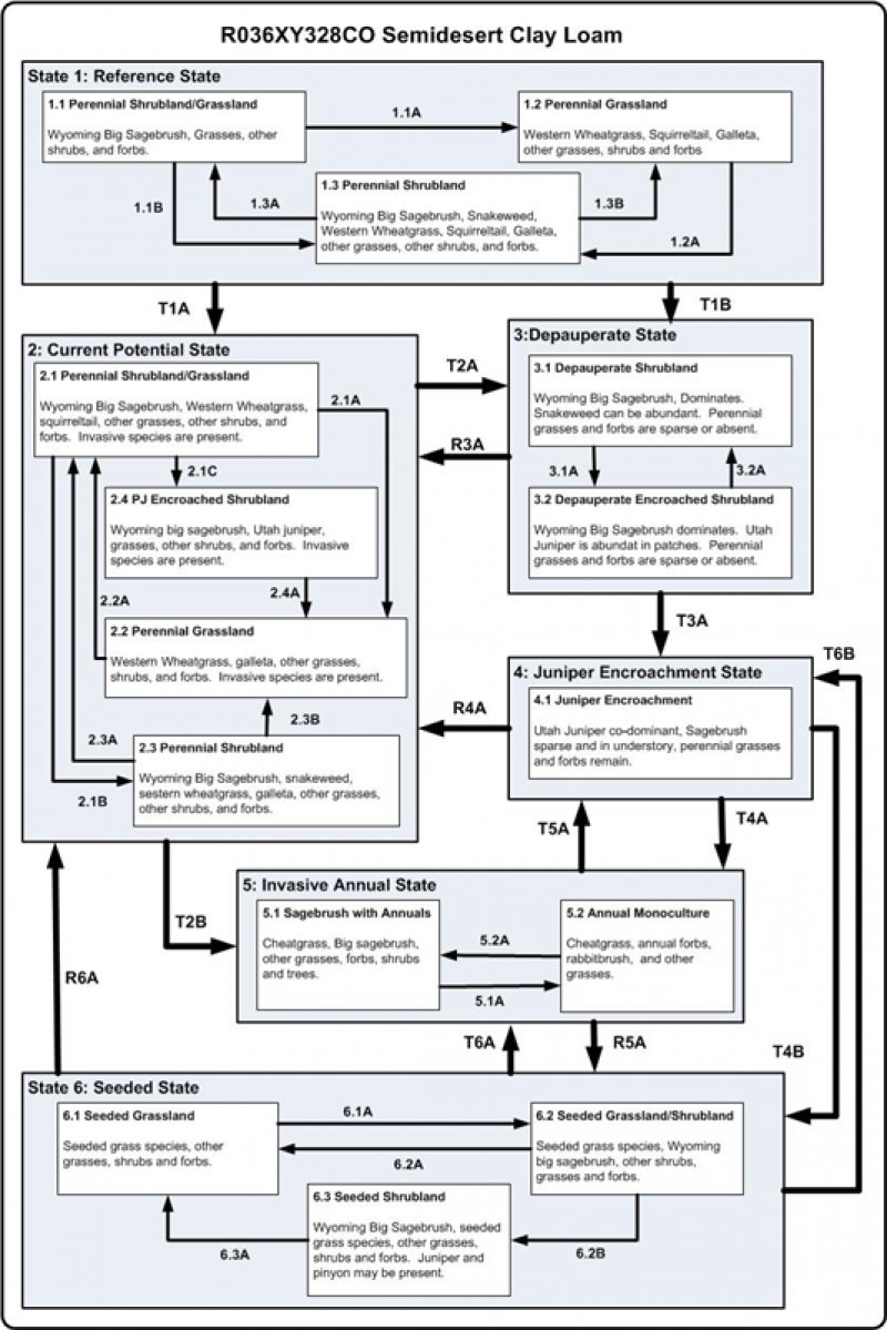 Model diagram