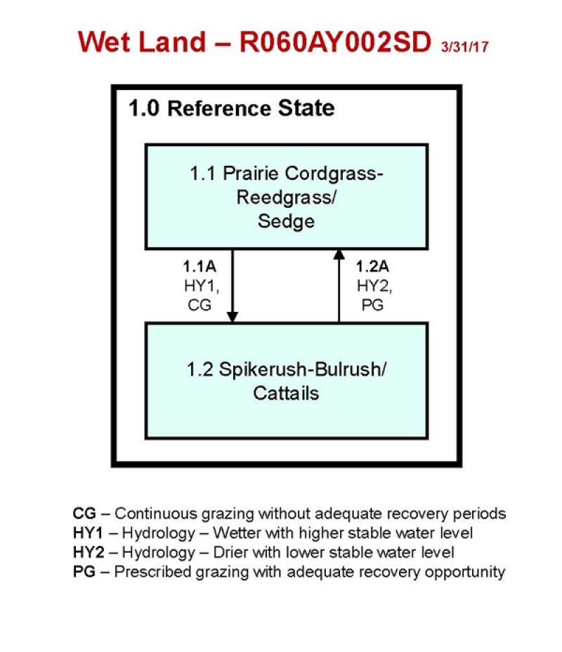 Model diagram