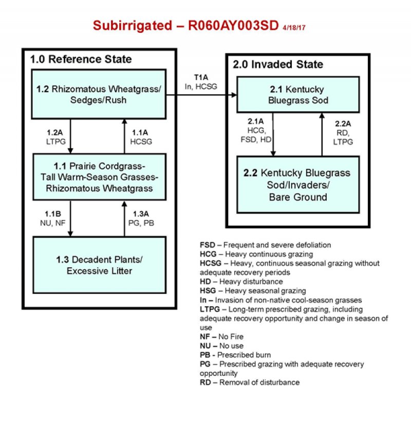 Model diagram