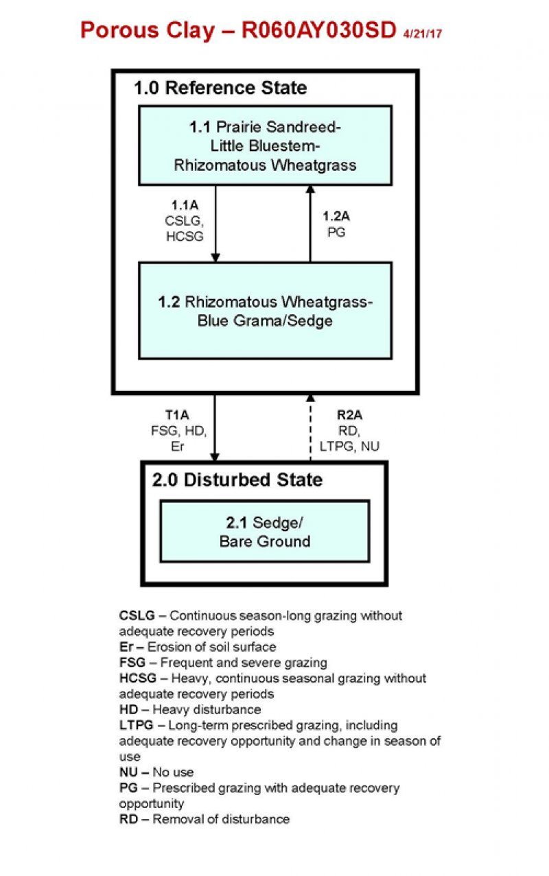 Model diagram