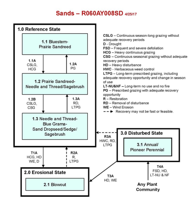 Model diagram