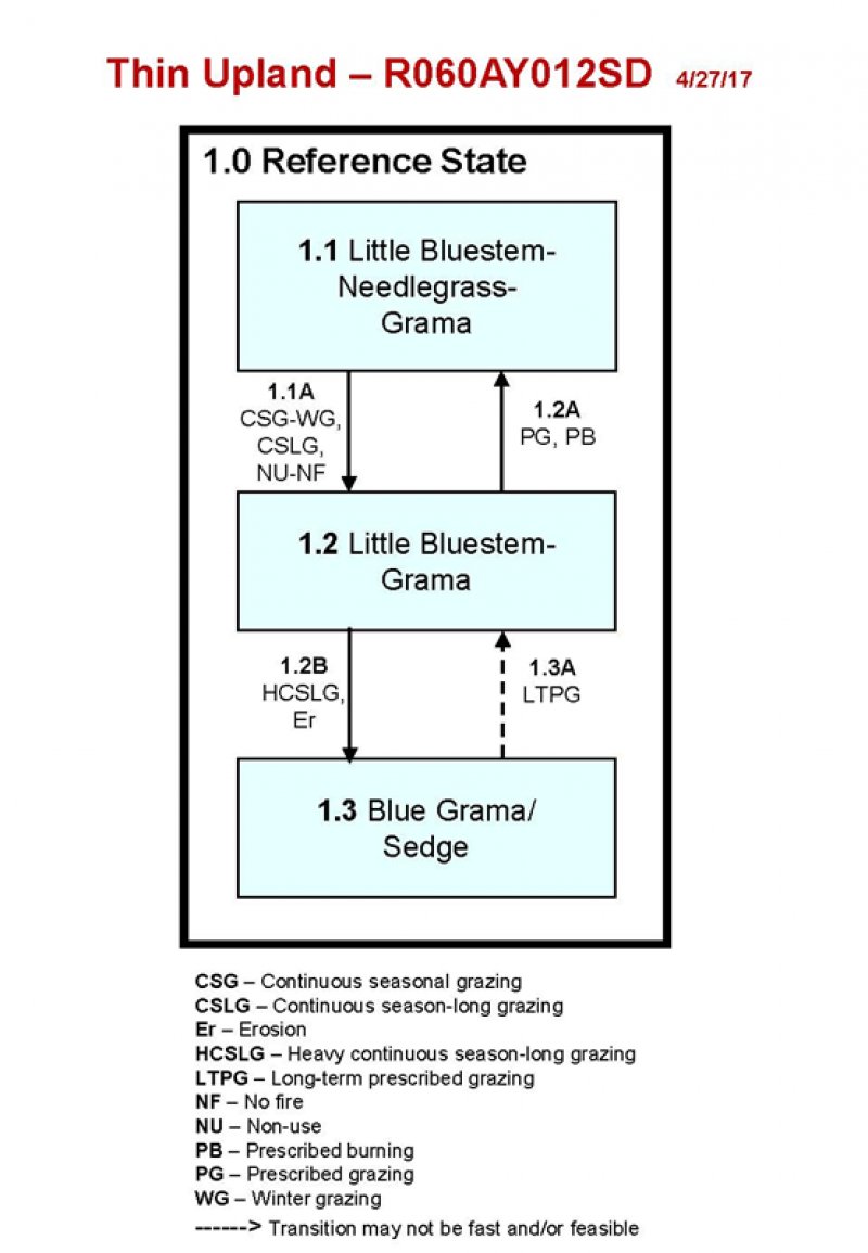 Model diagram