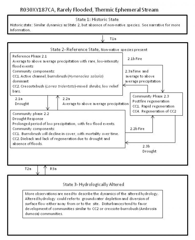 Model diagram