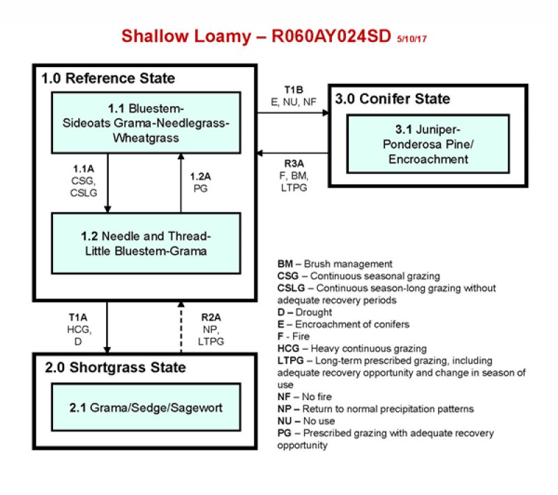 Model diagram