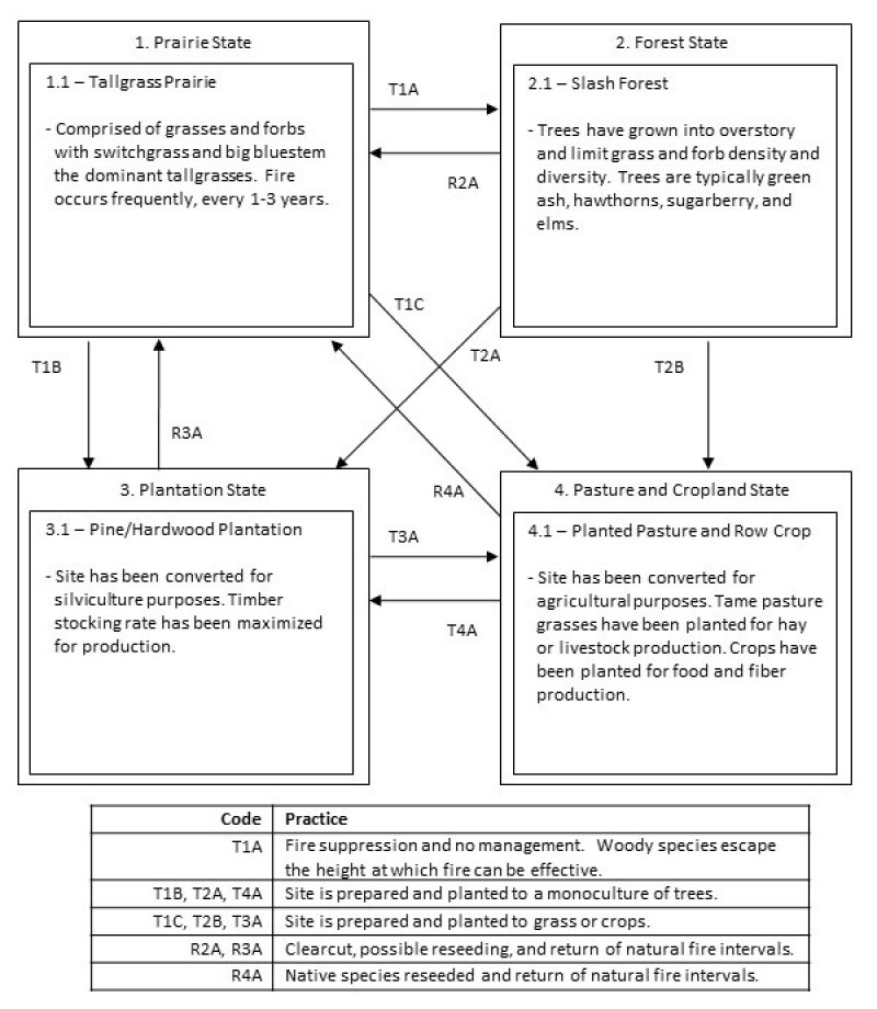 Model diagram