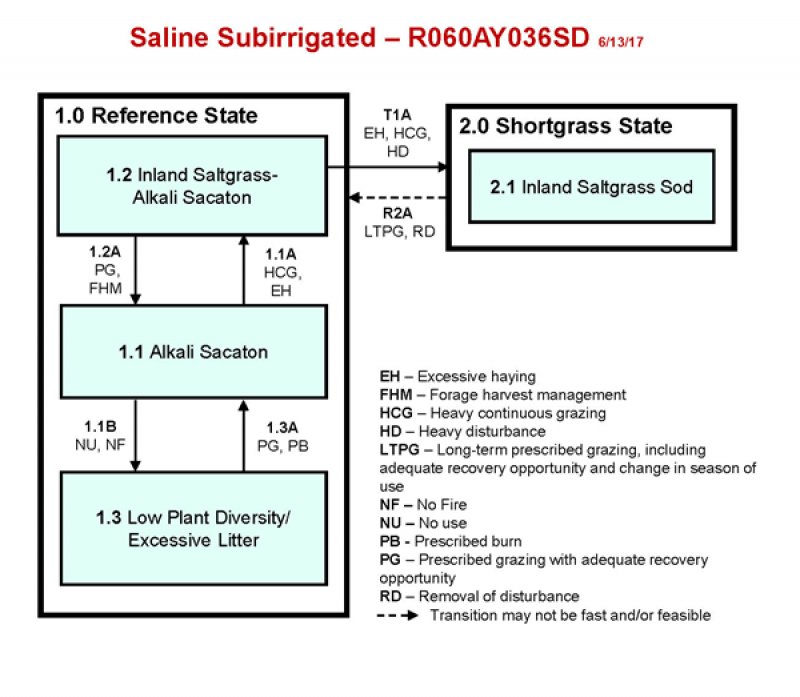 Model diagram