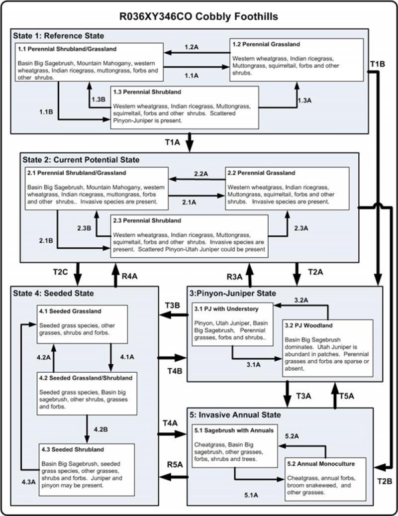 Model diagram
