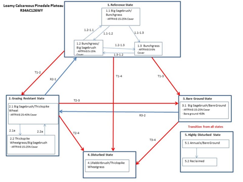 Model diagram