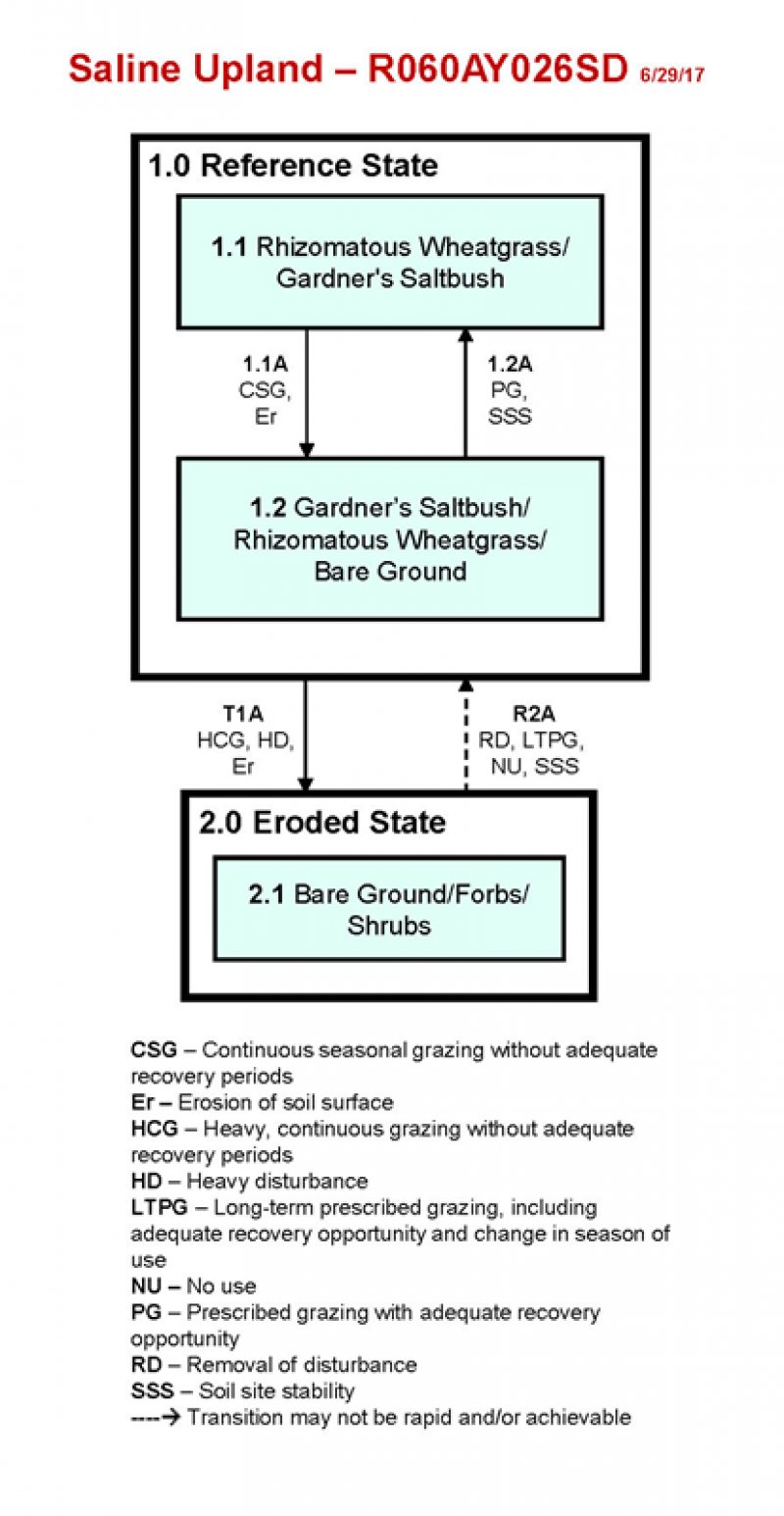 Model diagram