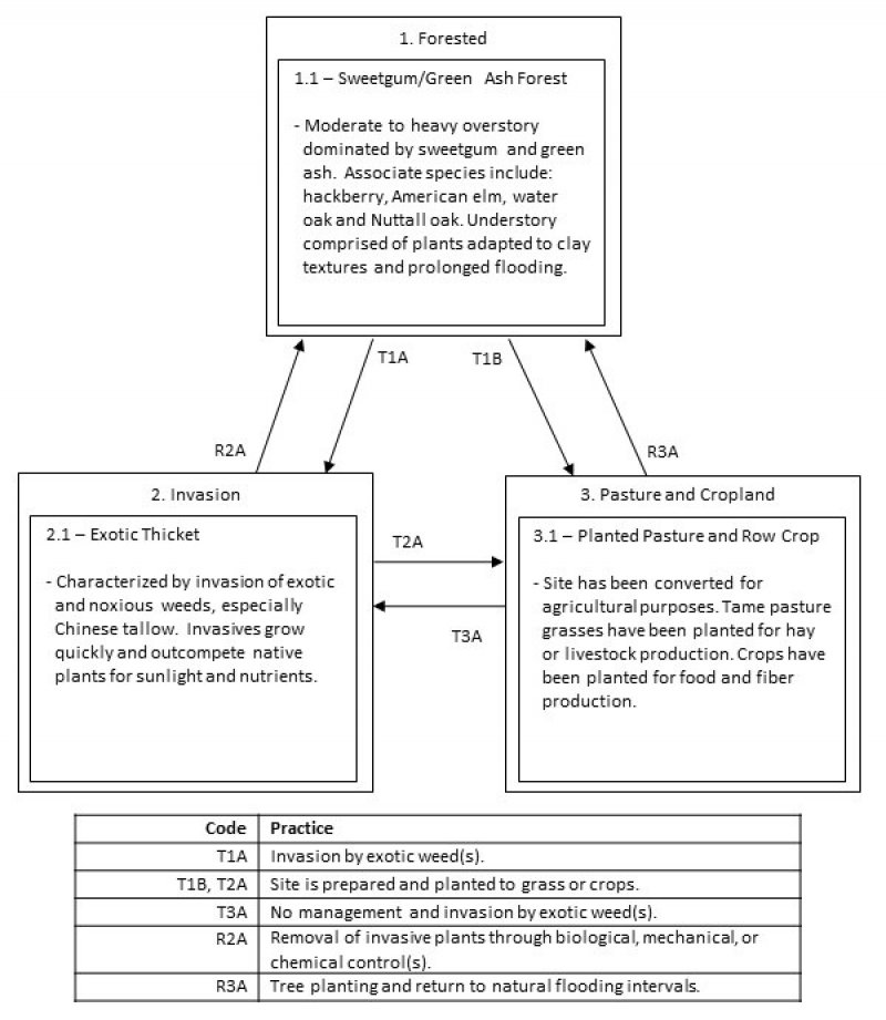Model diagram