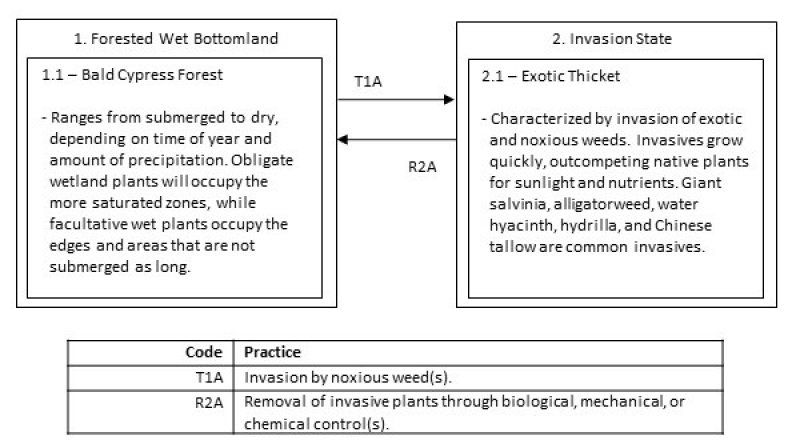 Model diagram