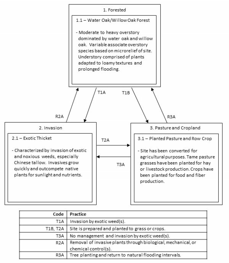 Model diagram