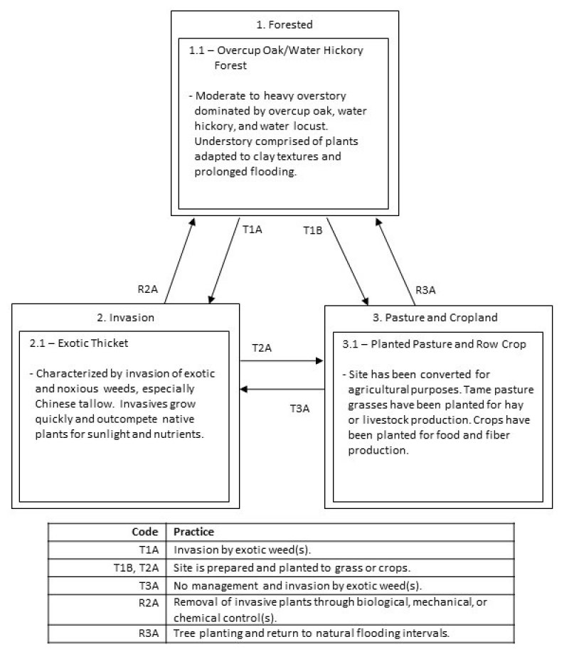 Model diagram