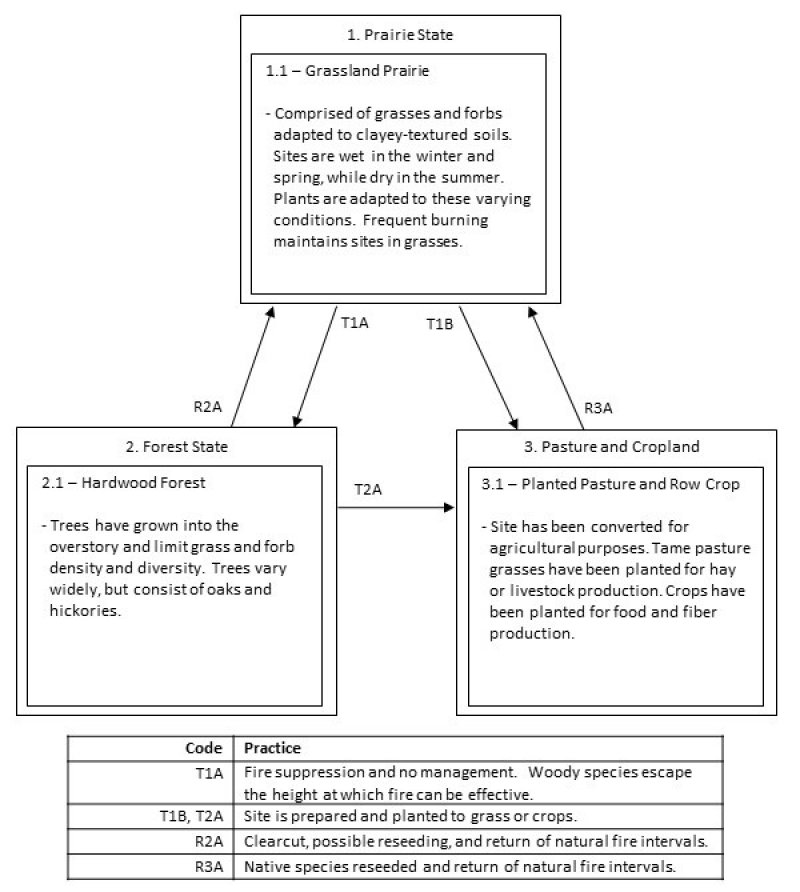Model diagram