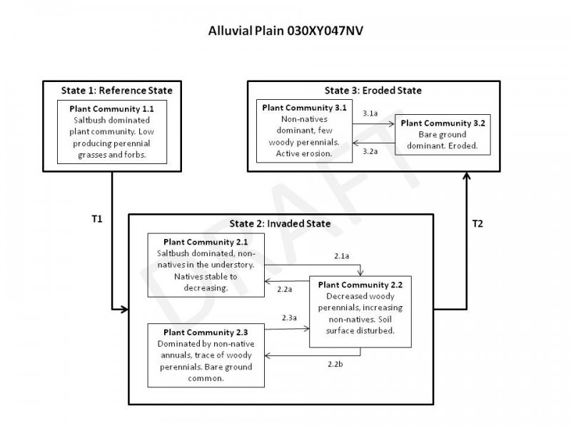 Model diagram