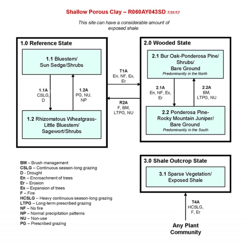 Model diagram