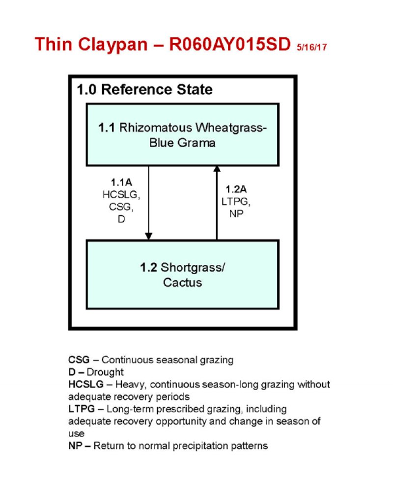Model diagram