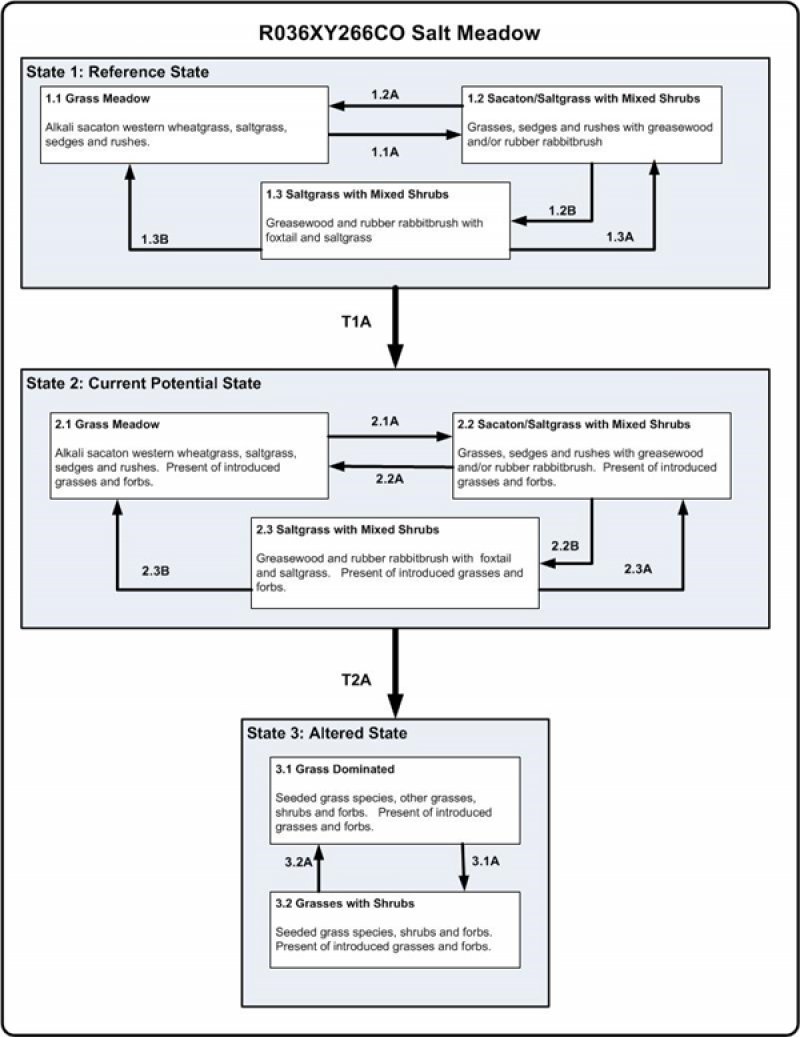 Model diagram