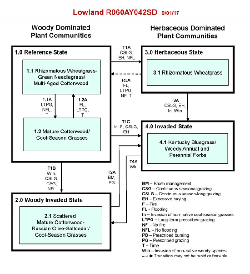 Model diagram